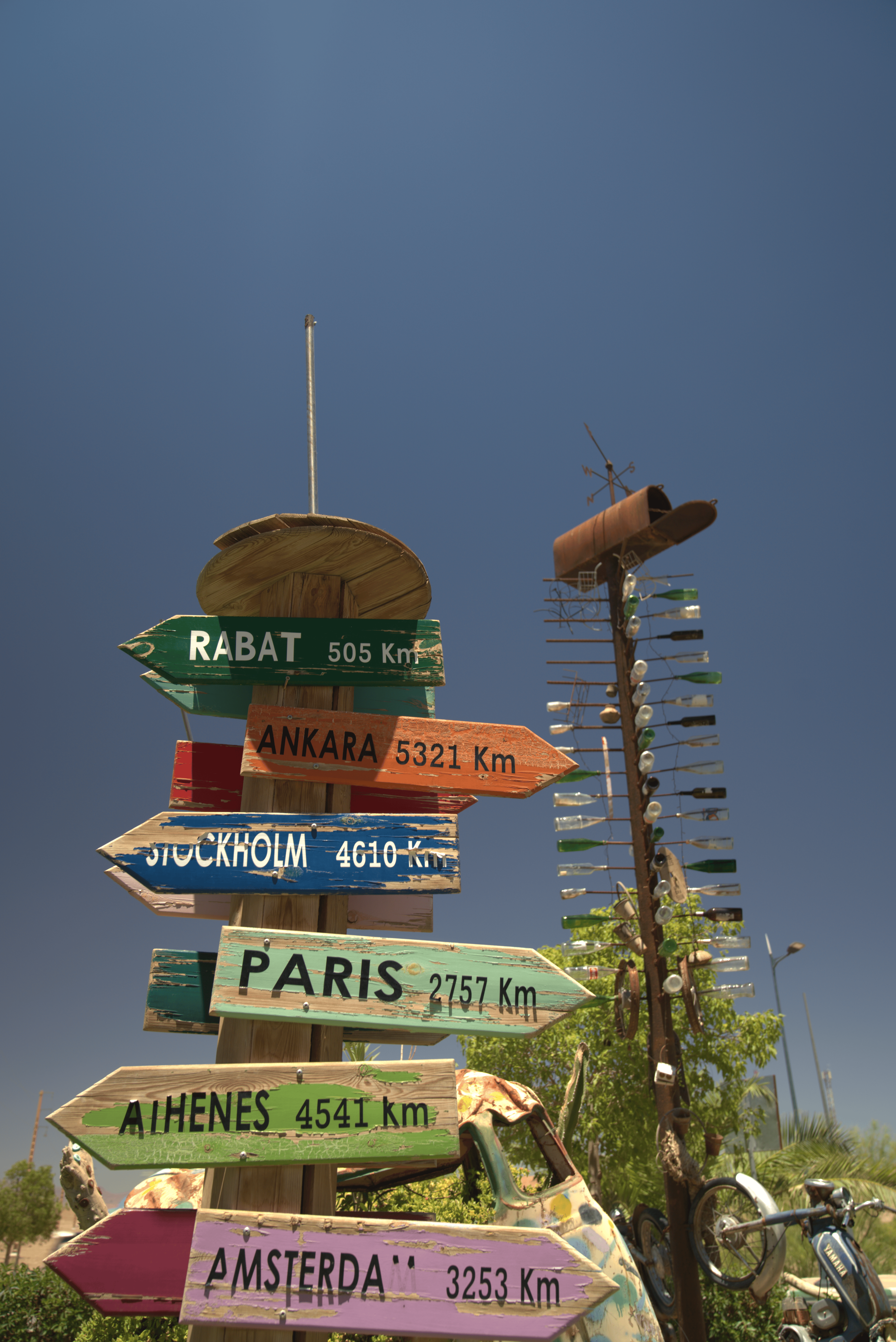 Motel Safari Budget